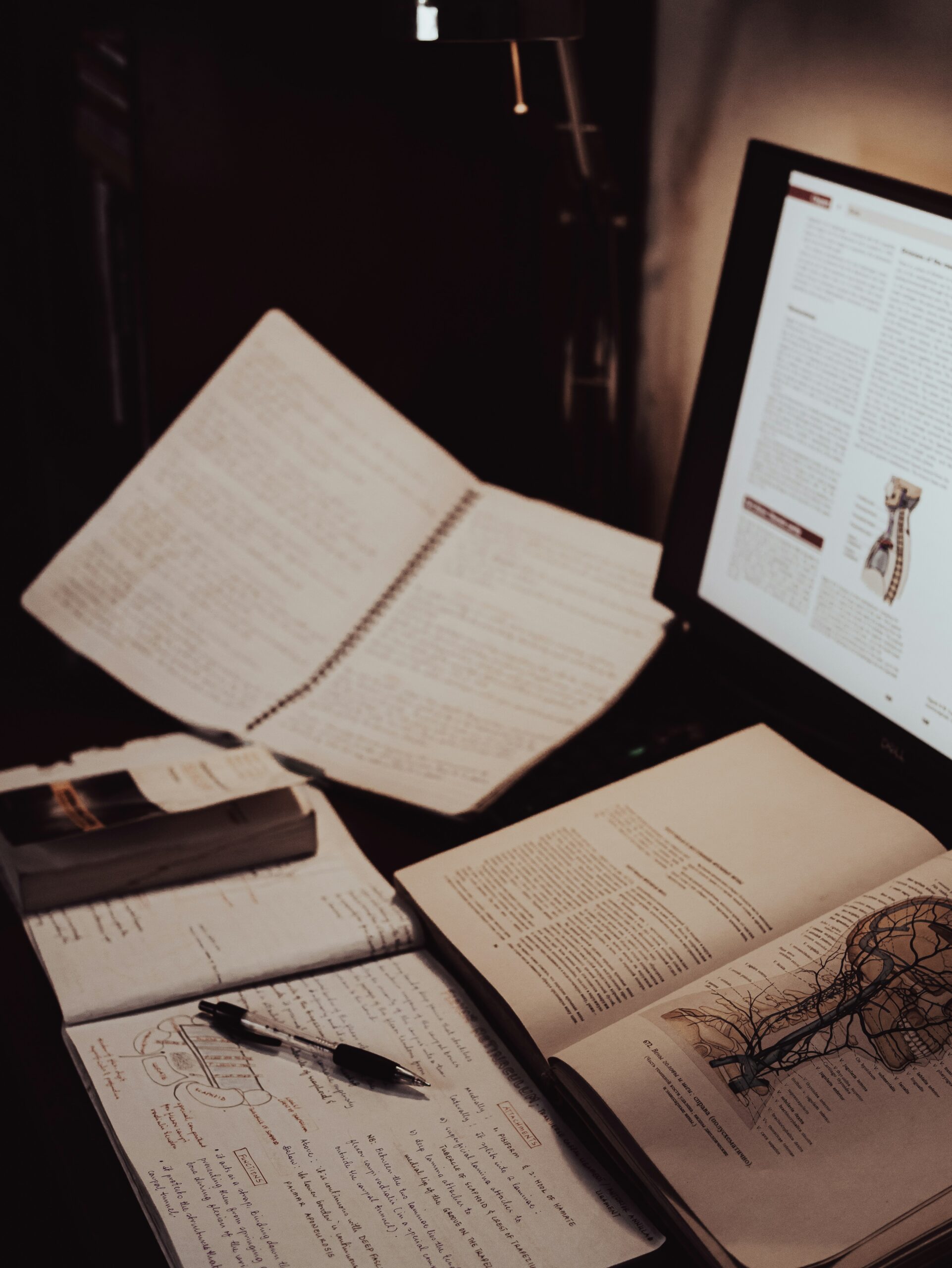B2B content writer financial treasury logistics